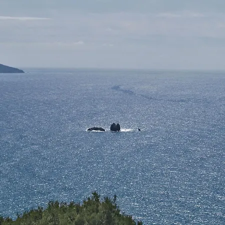 Apartament Relaxing Apartments, Swimming Pool - *